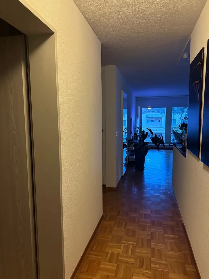 Room in spacious & modern shared flat - Pully