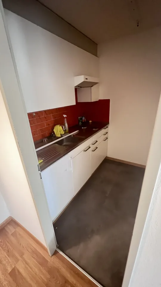 1 1/2 room apartment tenant wanted