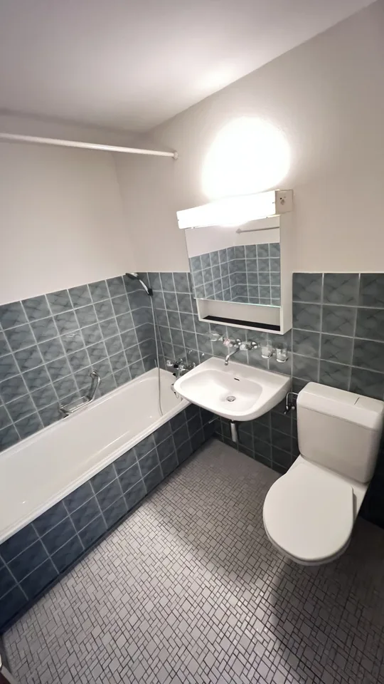 1 1/2 room apartment tenant wanted
