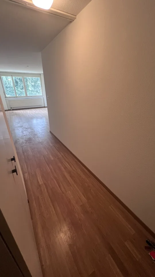 1 1/2 room apartment tenant wanted