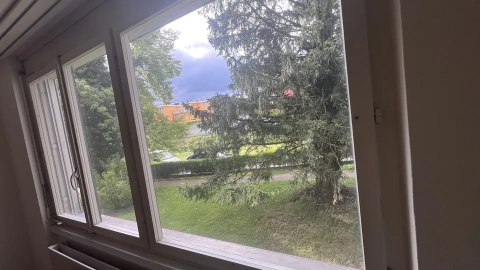 1 1/2 room apartment tenant wanted