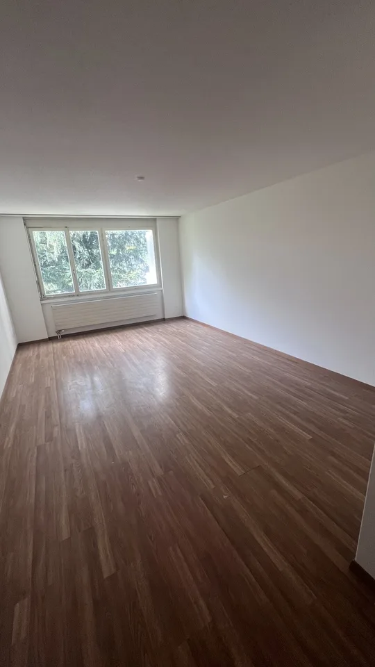 1 1/2 Zimmer Wohbung Nachmieter gesucht