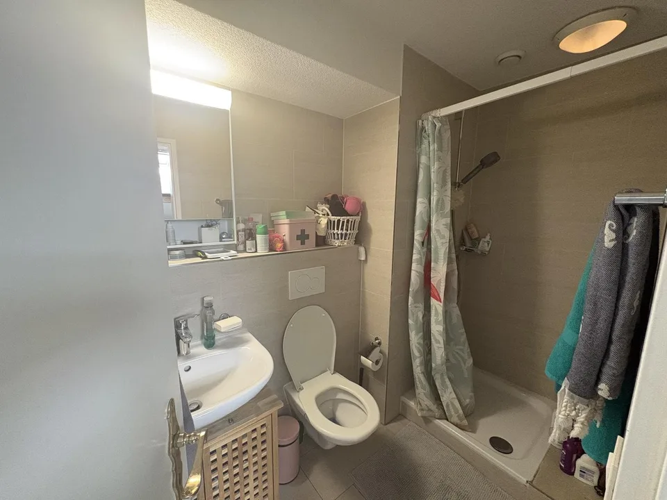 Helle 2,5 Dachwohnung an der Überlandstrasse 11, 8953 Dietikon