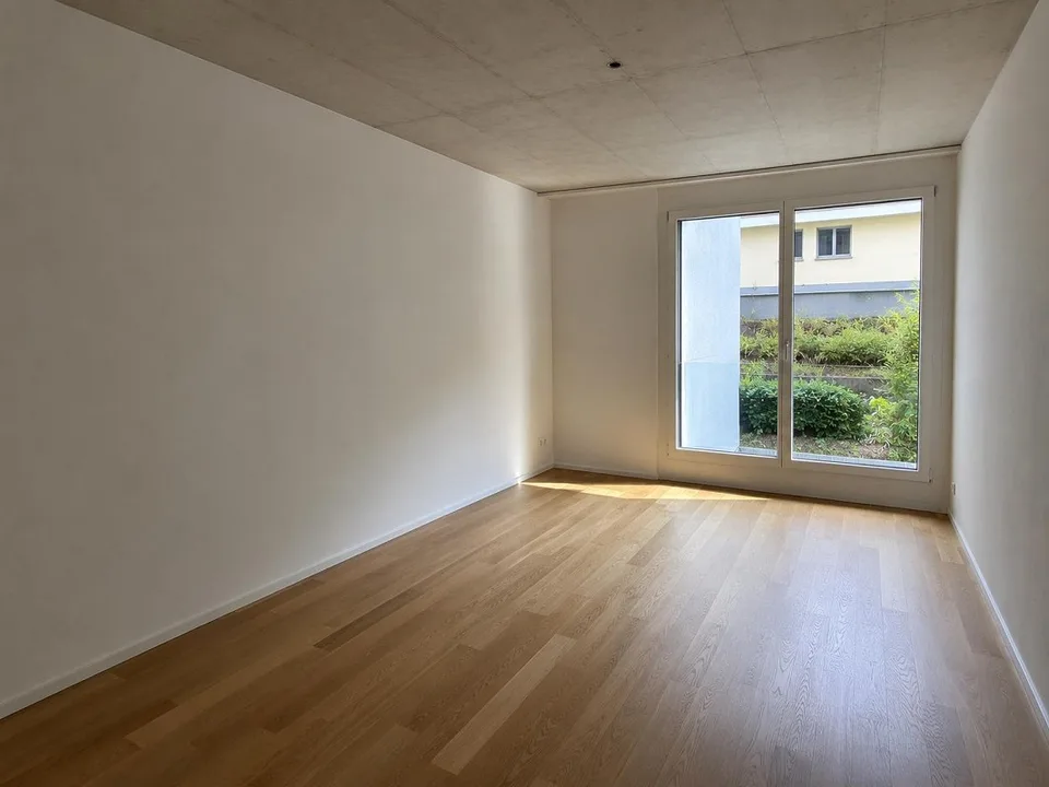 Modern 5.5 Room Flatshare in Lucerne - Looking for Co-Main Tenant (Hauptmieter)!