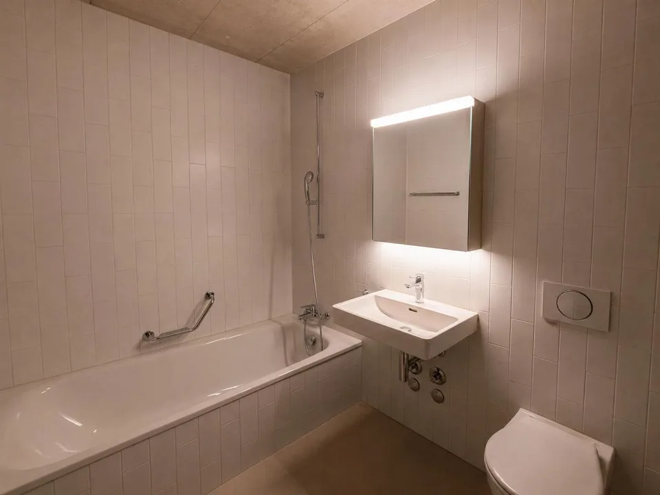 Modern 5.5 Room Flatshare in Lucerne - Looking for Co-Main Tenant (Hauptmieter)!