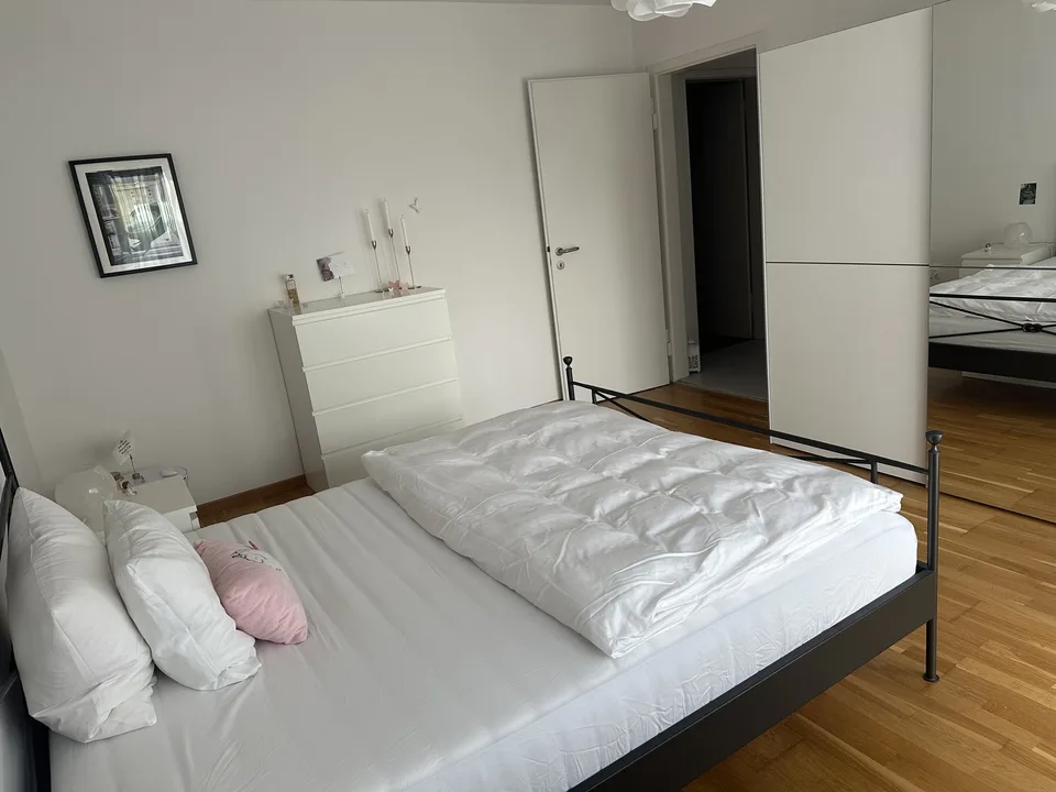 Bright, spacious 3-room apartment near the train station