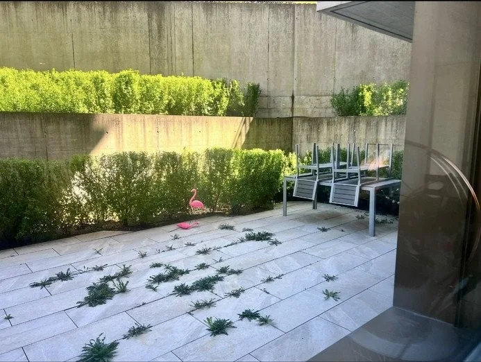 2.5-Zimmerwohnung in Kloten mit grossem Gartensitzplatz Nachmieter per 01.10.2026 gesucht