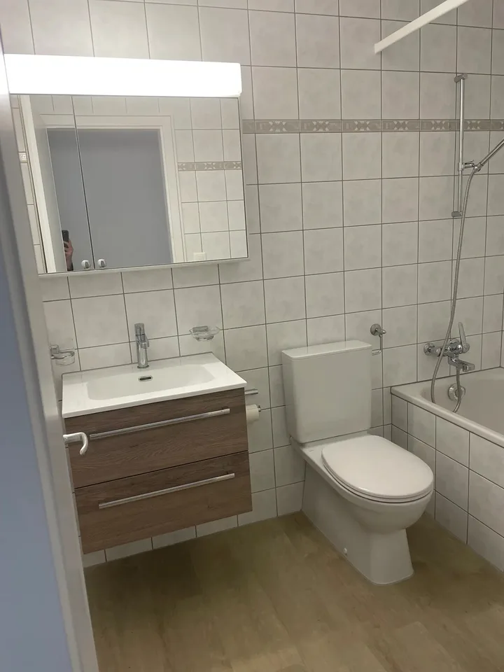 Schöne, helle 3,5-Zimmerwohnung in Ebikon
