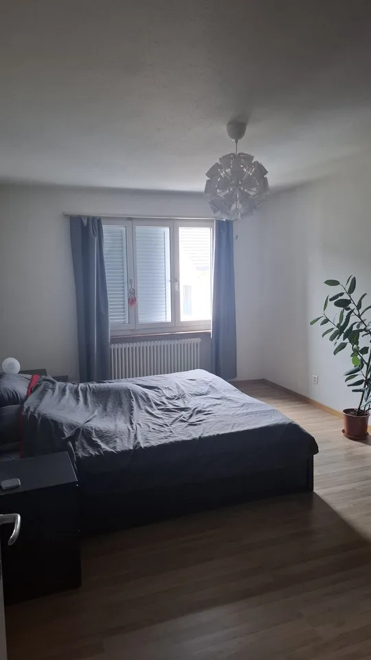 Gemütliche 3 1/2 Zimmer Wohnung in Kollbrunn