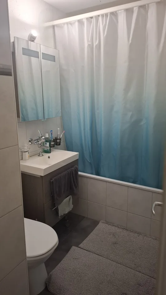 Gemütliche 3 1/2 Zimmer Wohnung in Kollbrunn