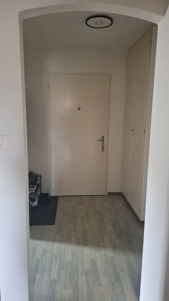 Gemütliche 3 1/2 Zimmer Wohnung in Kollbrunn