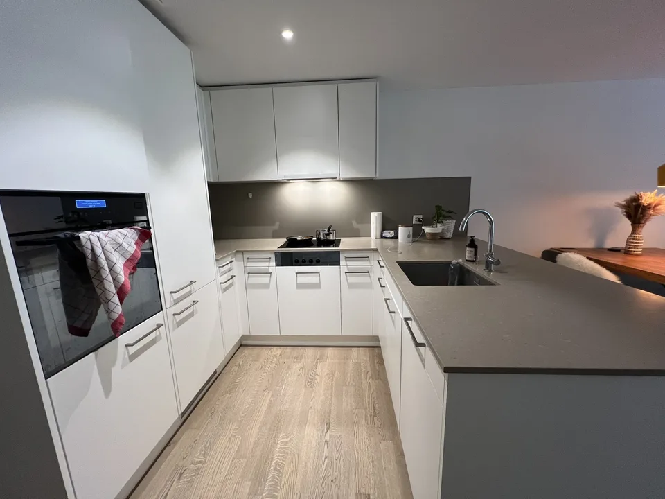Appartement moderne à Wollishofen