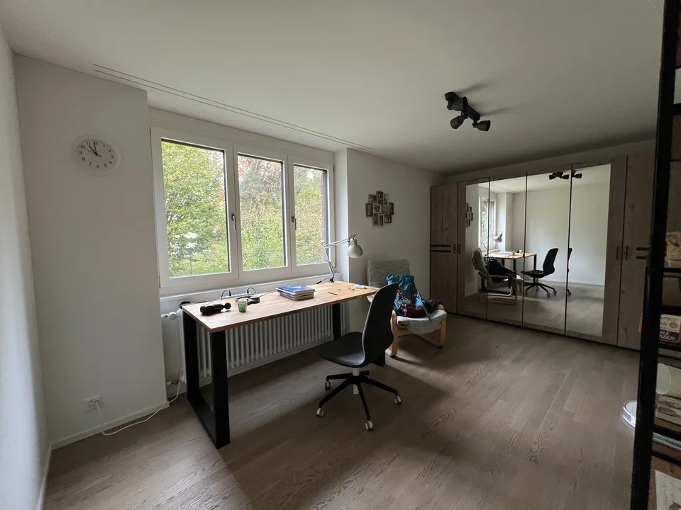Appartement moderne à Wollishofen