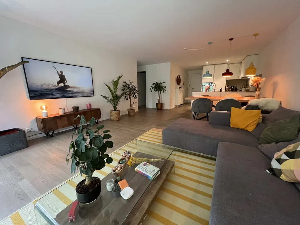 Modern apartment in wollishofen