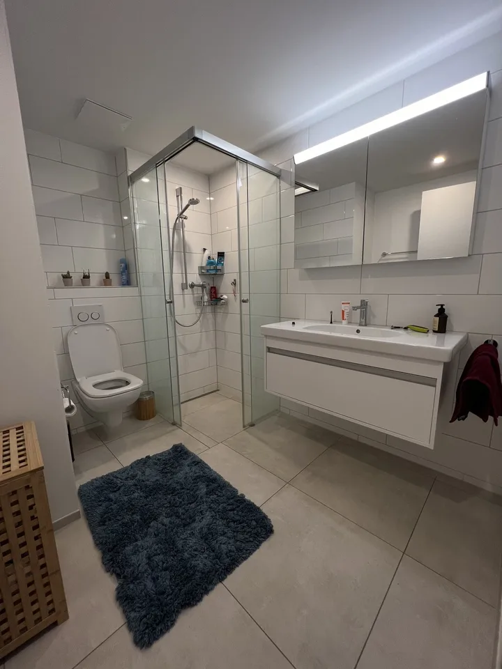 Appartement moderne à Wollishofen