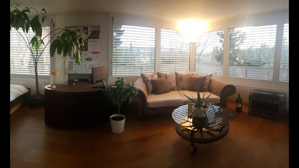 Wunderschöne geräumige 1.5 Zimmer Attikawohnung mit Chemineé.