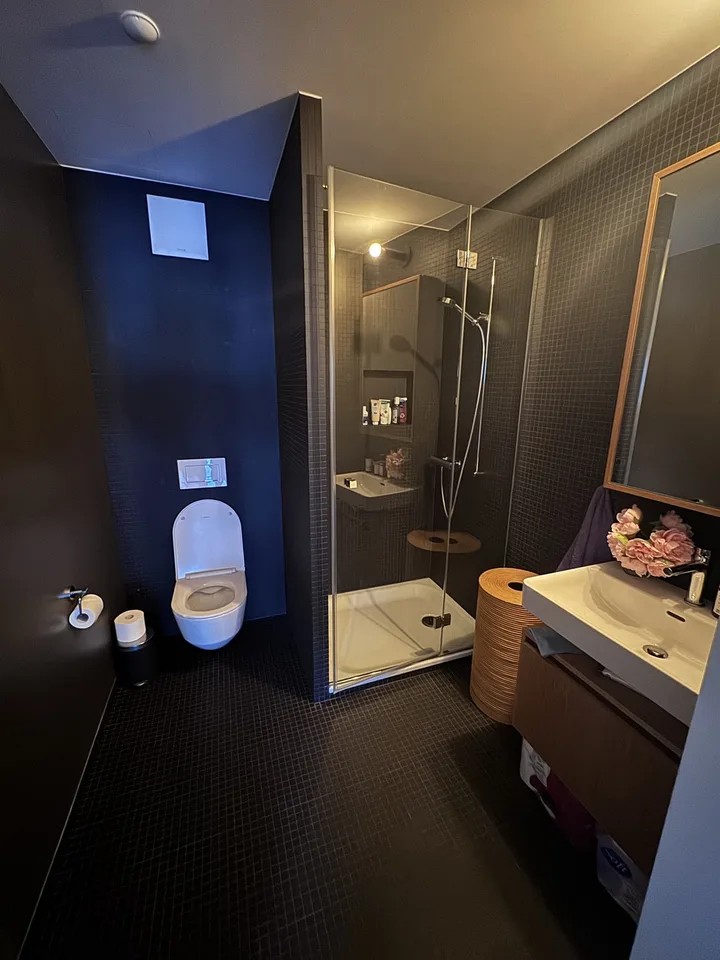 3.5 room luxury apartment in downtown Zurich