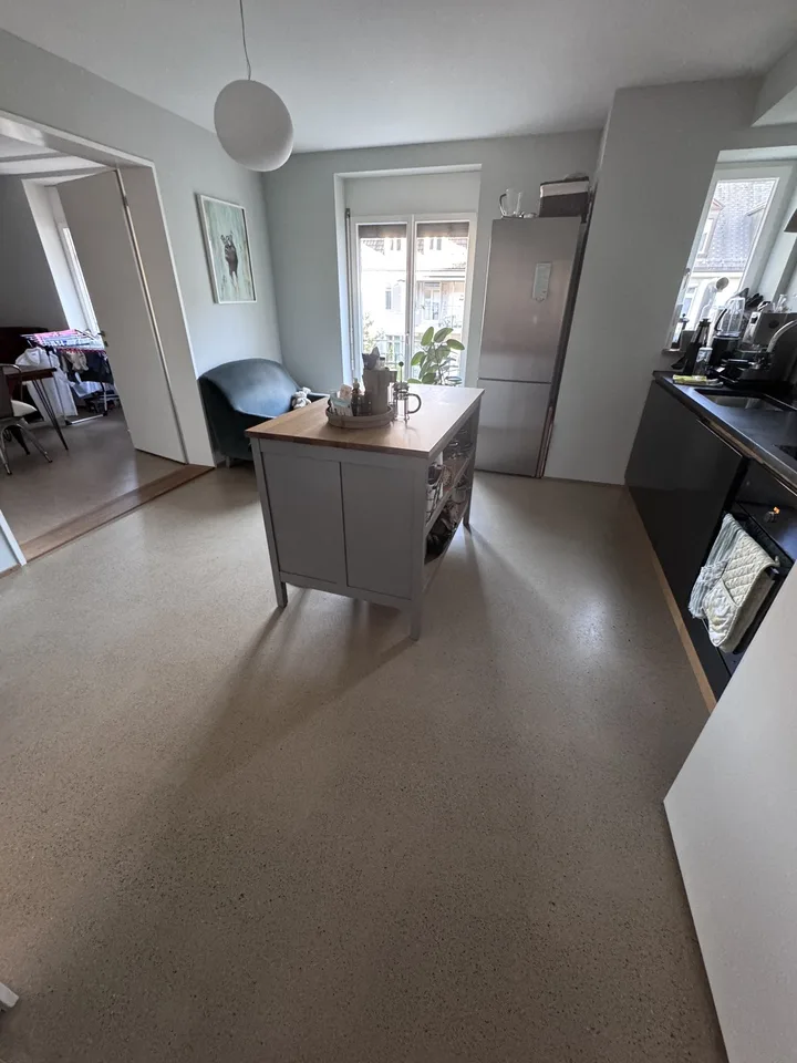 3.5 room luxury apartment in downtown Zurich