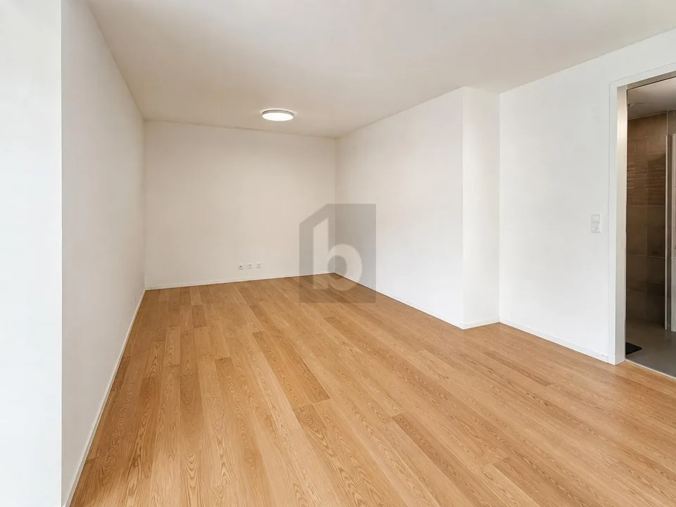ARBEITEN NAHE ZÜRICHSEE