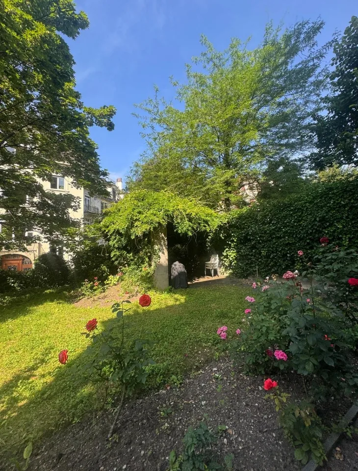 Room for Rent in Hottingen