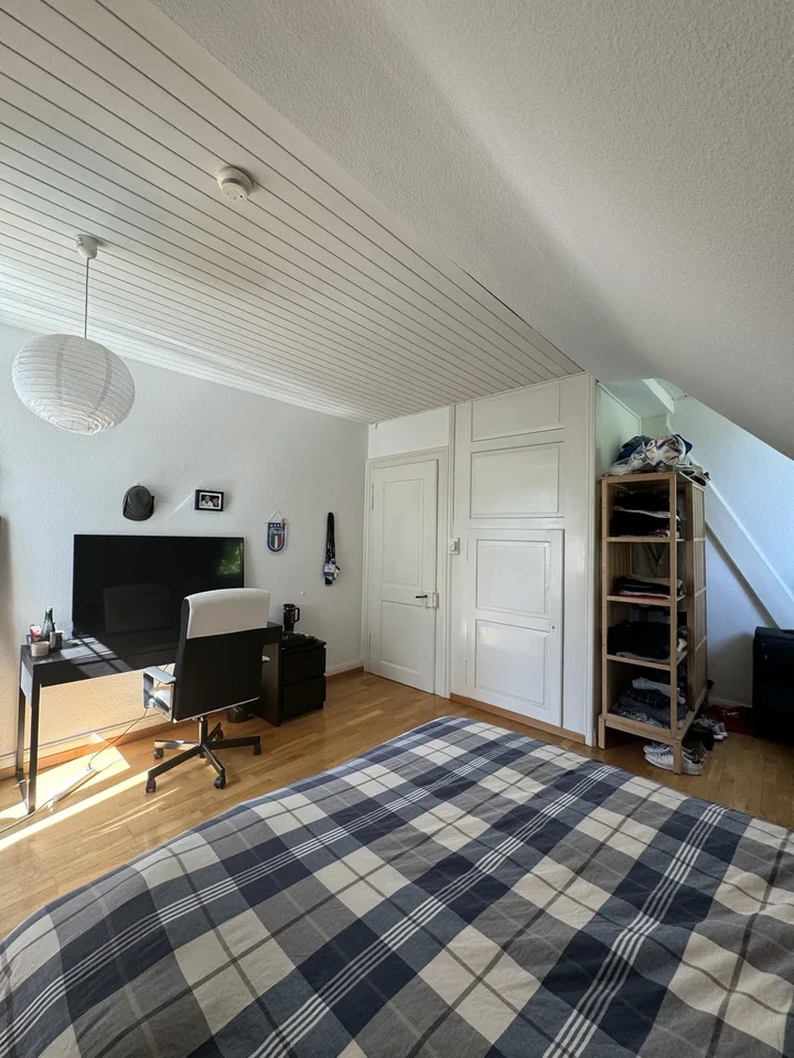 Room for Rent in Hottingen