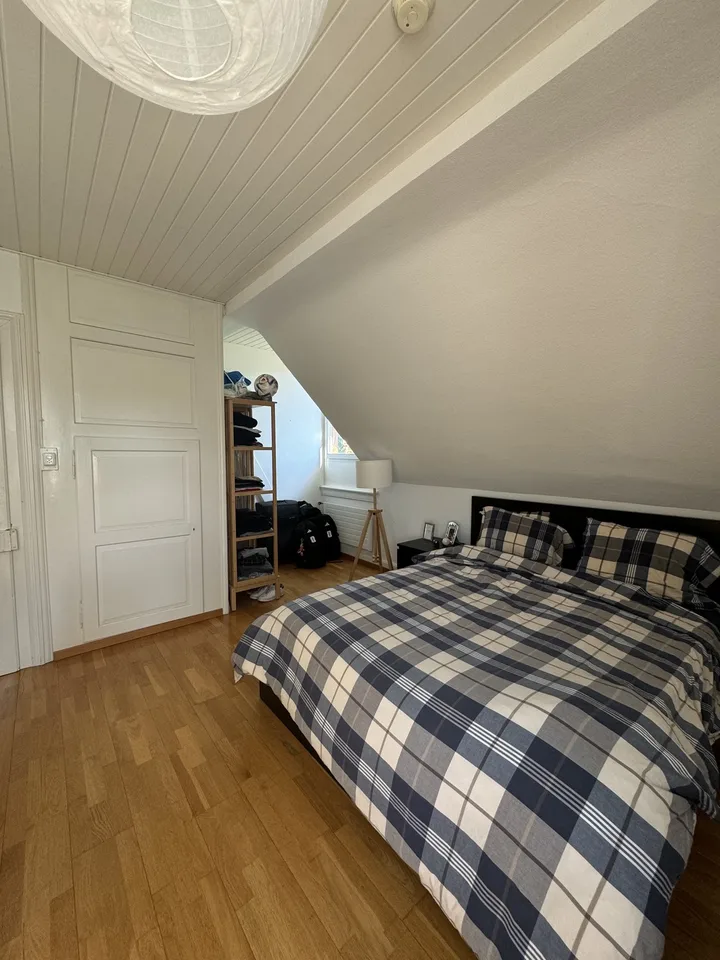 Room for Rent in Hottingen