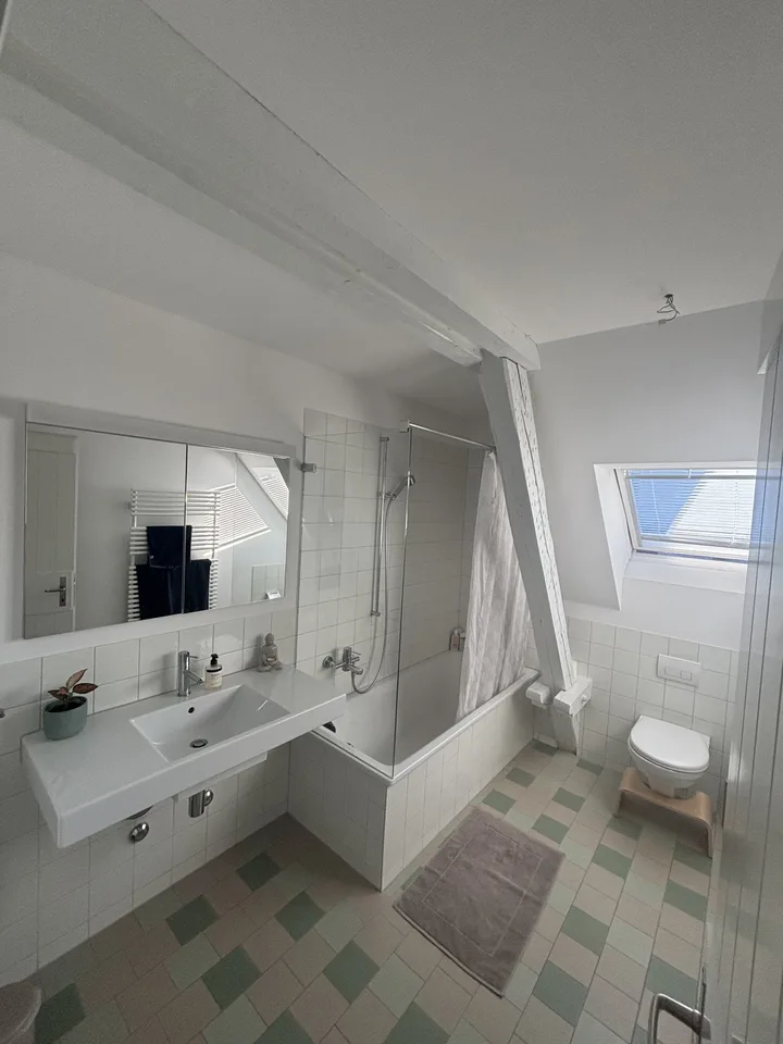 Bright 20 m² Room in Duplex with Rooftop Terrace in Kreis 4
