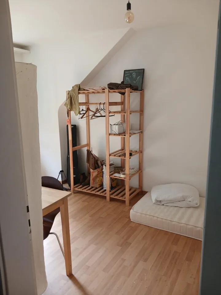 Room in WG next to Brunaupark