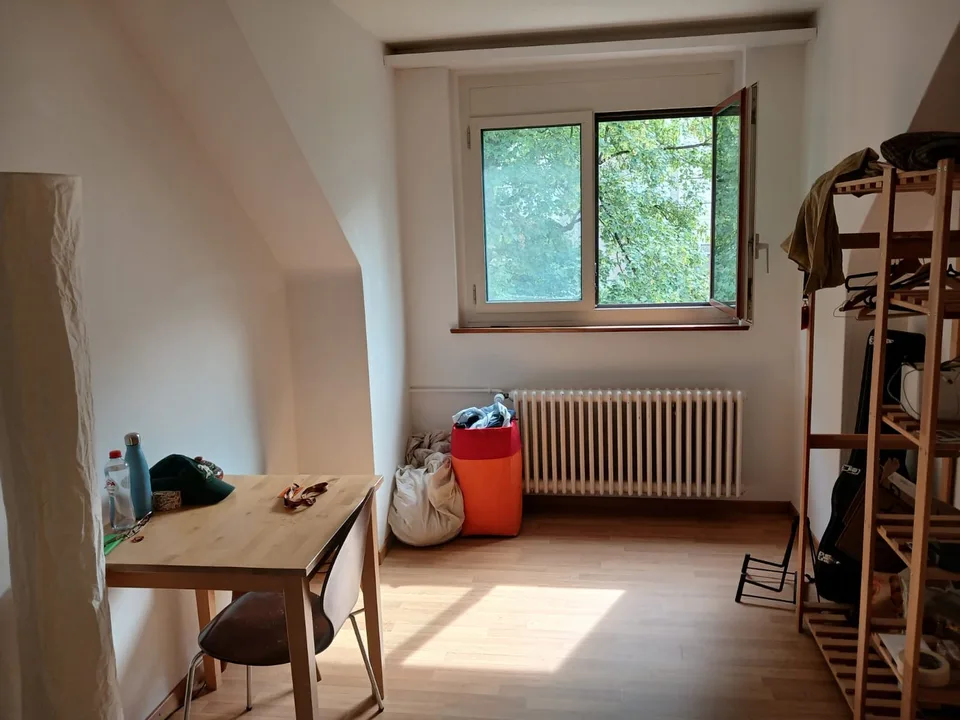 Room in WG next to Brunaupark