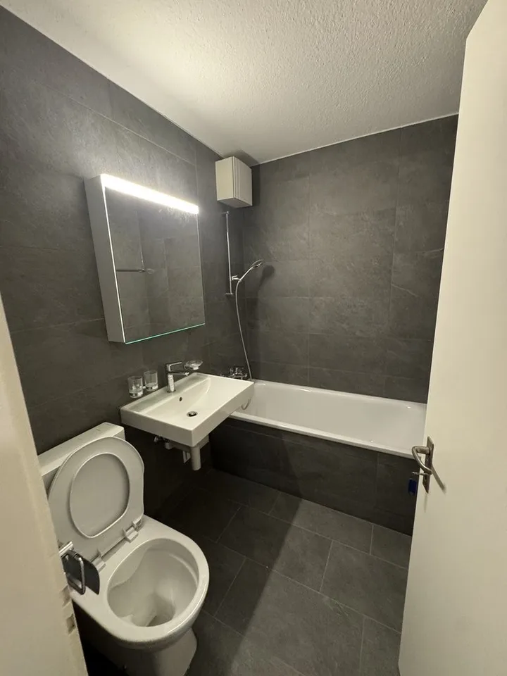 Birmensdorferstr. 511, 8055 Zürich - CHF 2’490 inkl. NK pro Monat