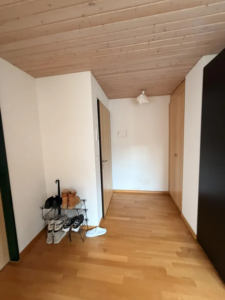1.5-Zimmer-Wohnung, 54 m², Hirschmattquartier – 5 Min. zum Bahnhof Luzern