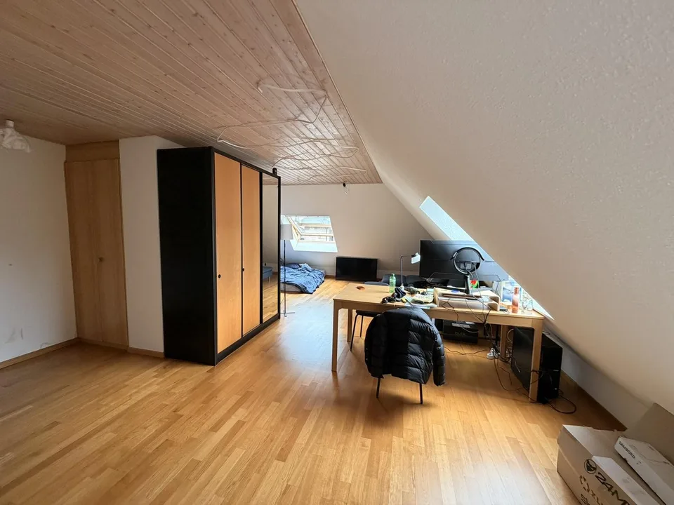 1.5-Zimmer-Wohnung, 54 m², Hirschmattquartier – 5 Min. zum Bahnhof Luzern