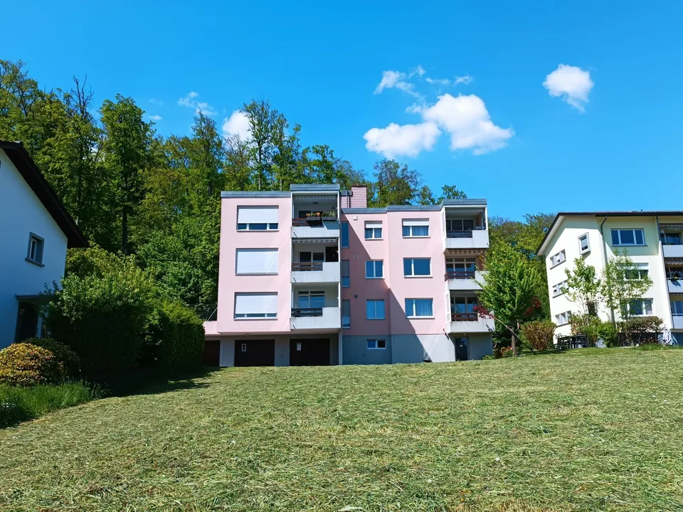 Neu renovierte Wohnung im Schöngrund