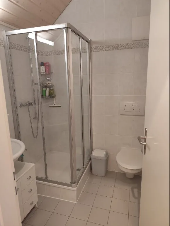 Bel appartement de 1,5 pièce dans les combles