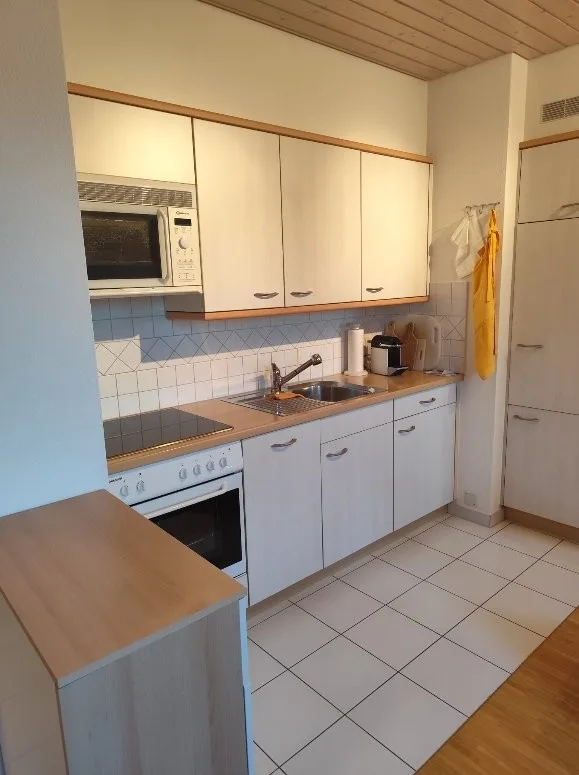 Bel appartement de 1,5 pièce dans les combles