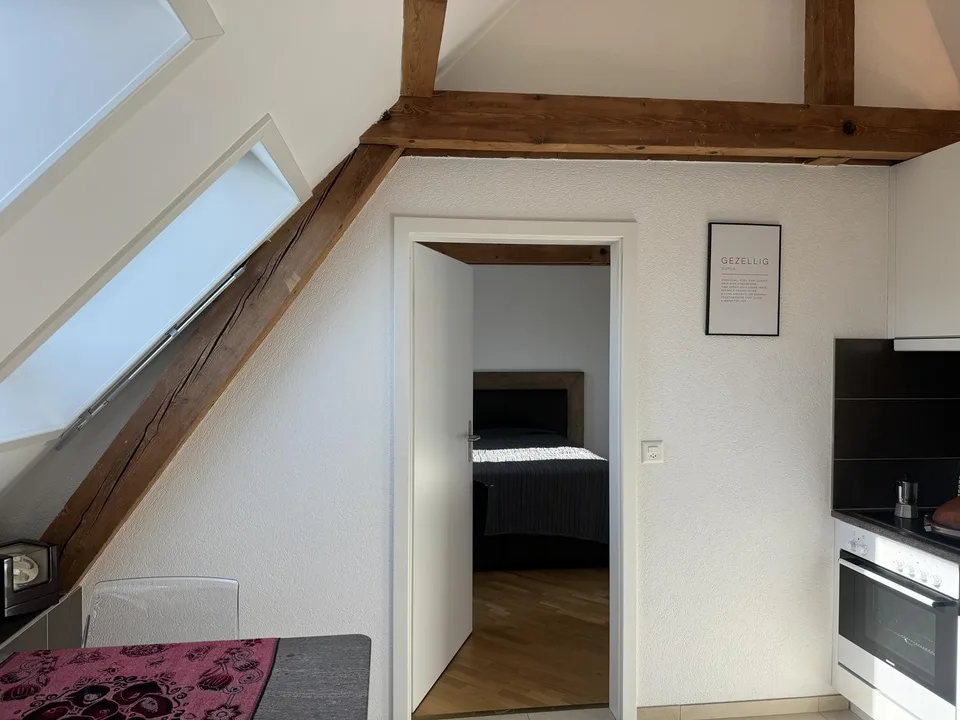 Moderne 2,5-Zimmer-Dachgeschosswohnung in Zürich-Wiedikon – Foto 15 von 16
