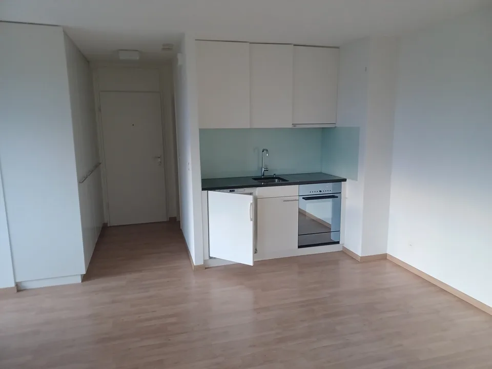 Helle 1.5-Zimmer-Wohnung an zentraler Lage per sofort zu vermieten