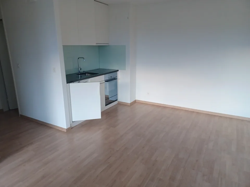 Helle 1.5-Zimmer-Wohnung an zentraler Lage per sofort zu vermieten