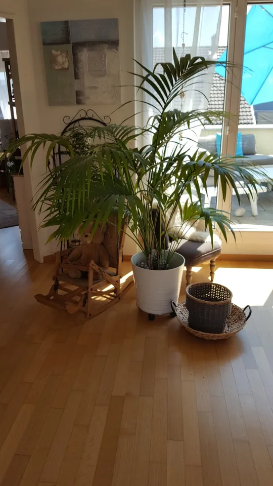 Heimelige, helle und zentrale Maisonette- Attika Wohnung