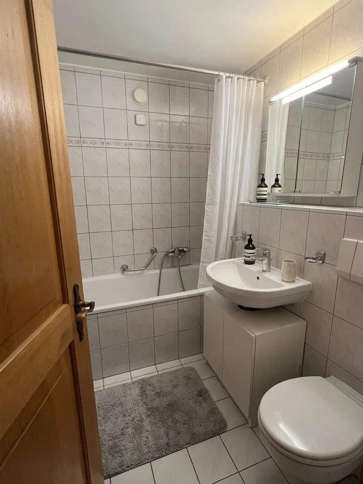 Colocataire recherché Appart 100m2