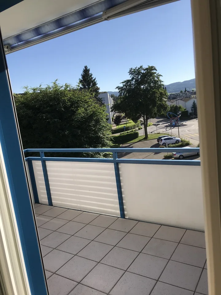 Sonnige und lichtdurchflutete 3.5-Zimmer-Wohnung im obersten Stockwerk