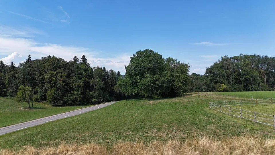 Neubau 5.5-Zi.-Doppeleinfamilienhaus an erhöhter Wohnlage mit Weitsicht in Amlikon-Bissegg (Haus A)