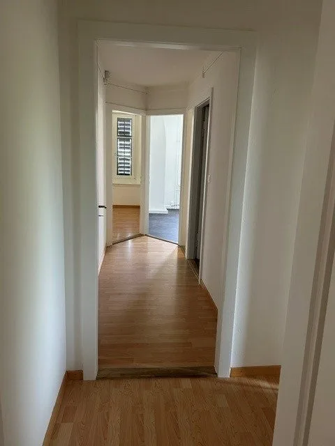 Neu renovierte Wohnung