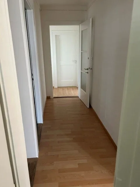 Neu renovierte Wohnung