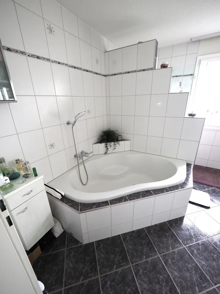DOPPELEINFAMILIENHAUS IN NIEDERHASLI – photo 9 sur 10
