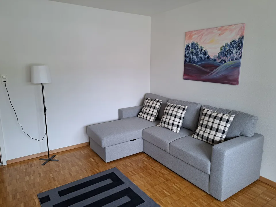Voll möblierte 2.5-Zimmerwohnung in Schlieren – CHF 1’950 inkl. Nebenkosten