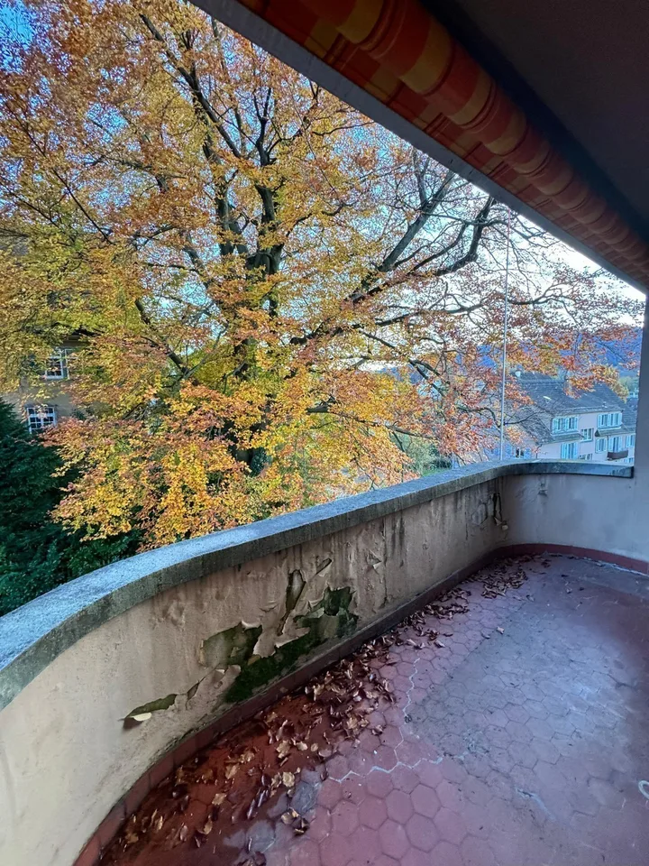 5 Zimmer WG im Herzen von Zürich!