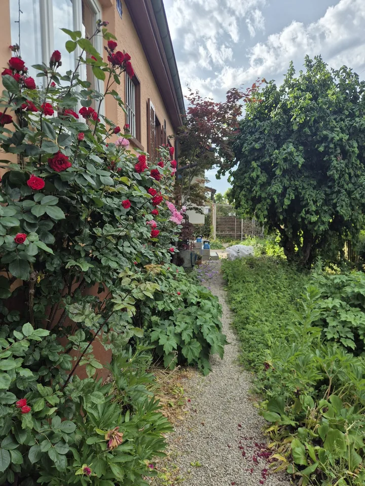 Schönes helles Zimmer im EG