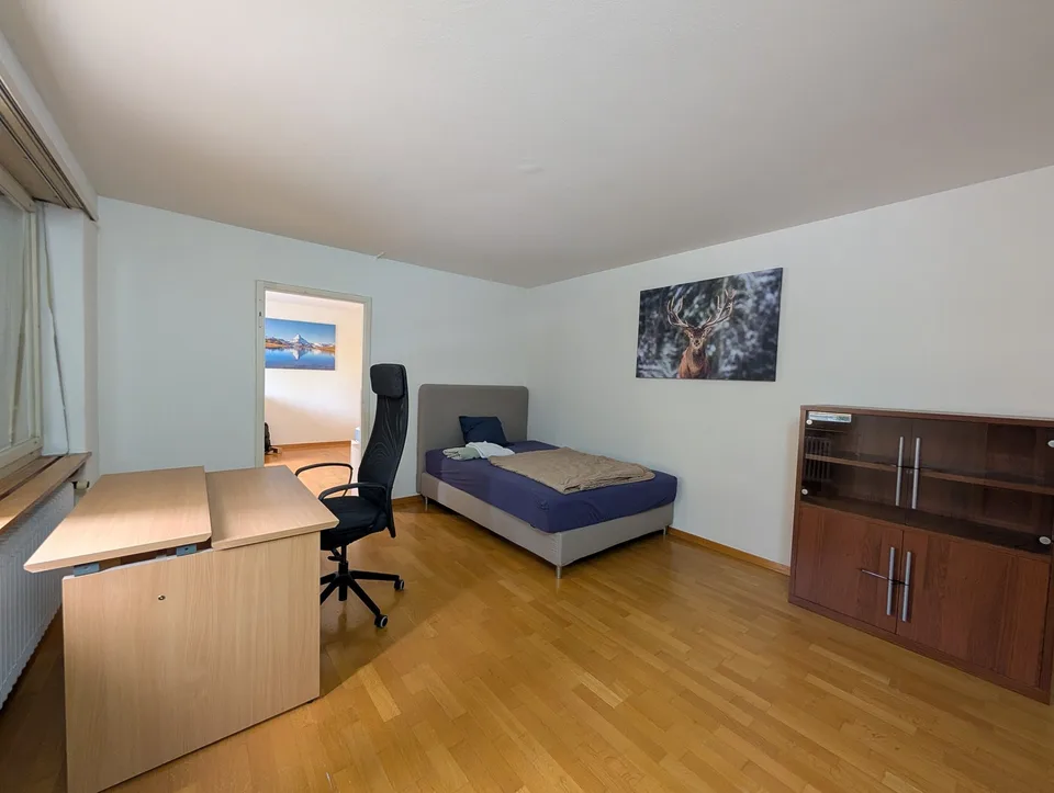 Cozy apartment in Zurich City