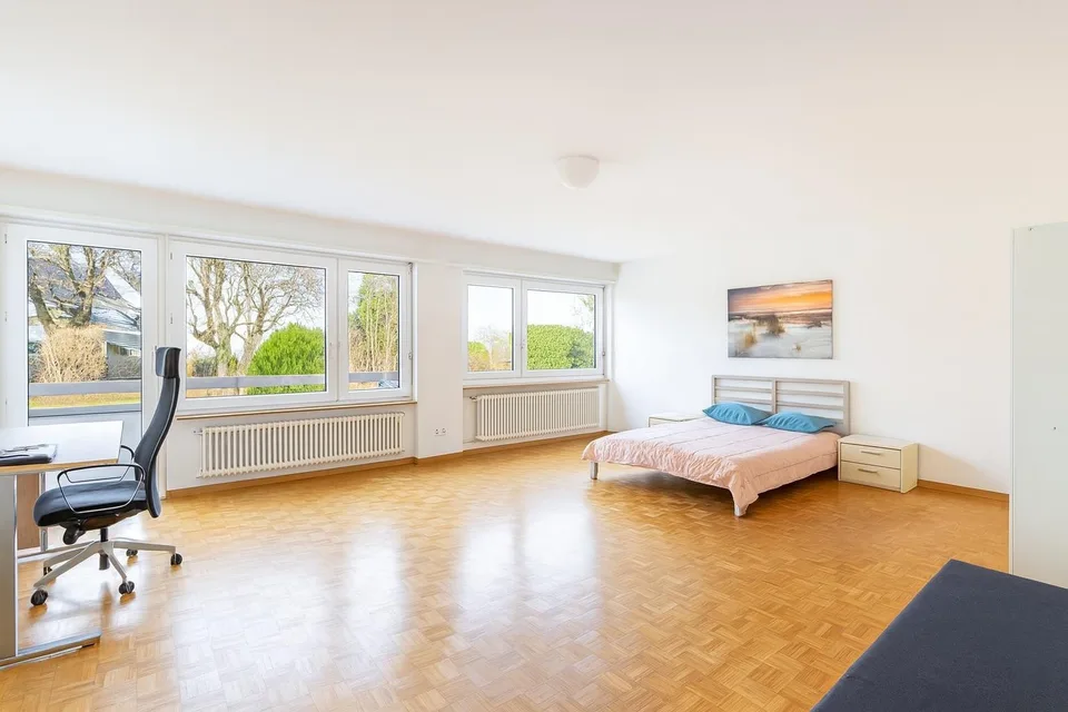 Cozy beautiful studio in Thalwil